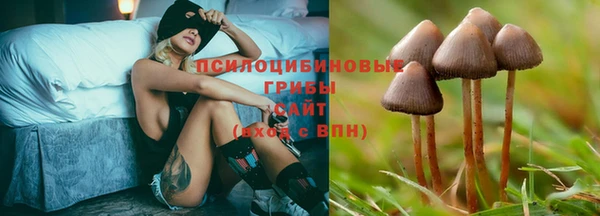 первитин Грязовец