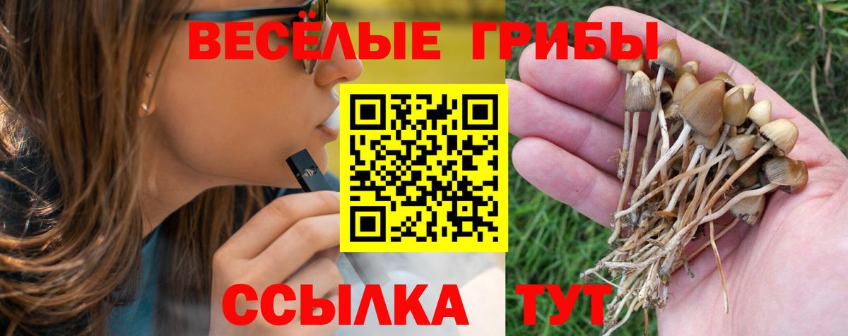 Конопля  Вход с VPN  Печора  КОКАИН  LSD-25  Меф кристаллы  Экстази  Где найти наркотики?  ГАШИШ  APVP СК  